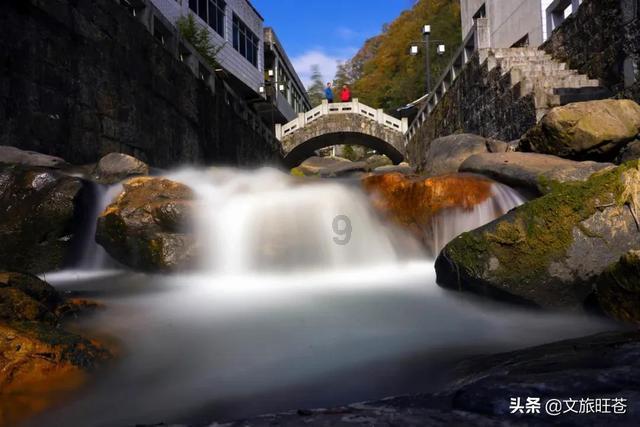 深入探索含益生菌的奶粉,哪个牌子卖得比较好?知识星球,尽享学习乐趣